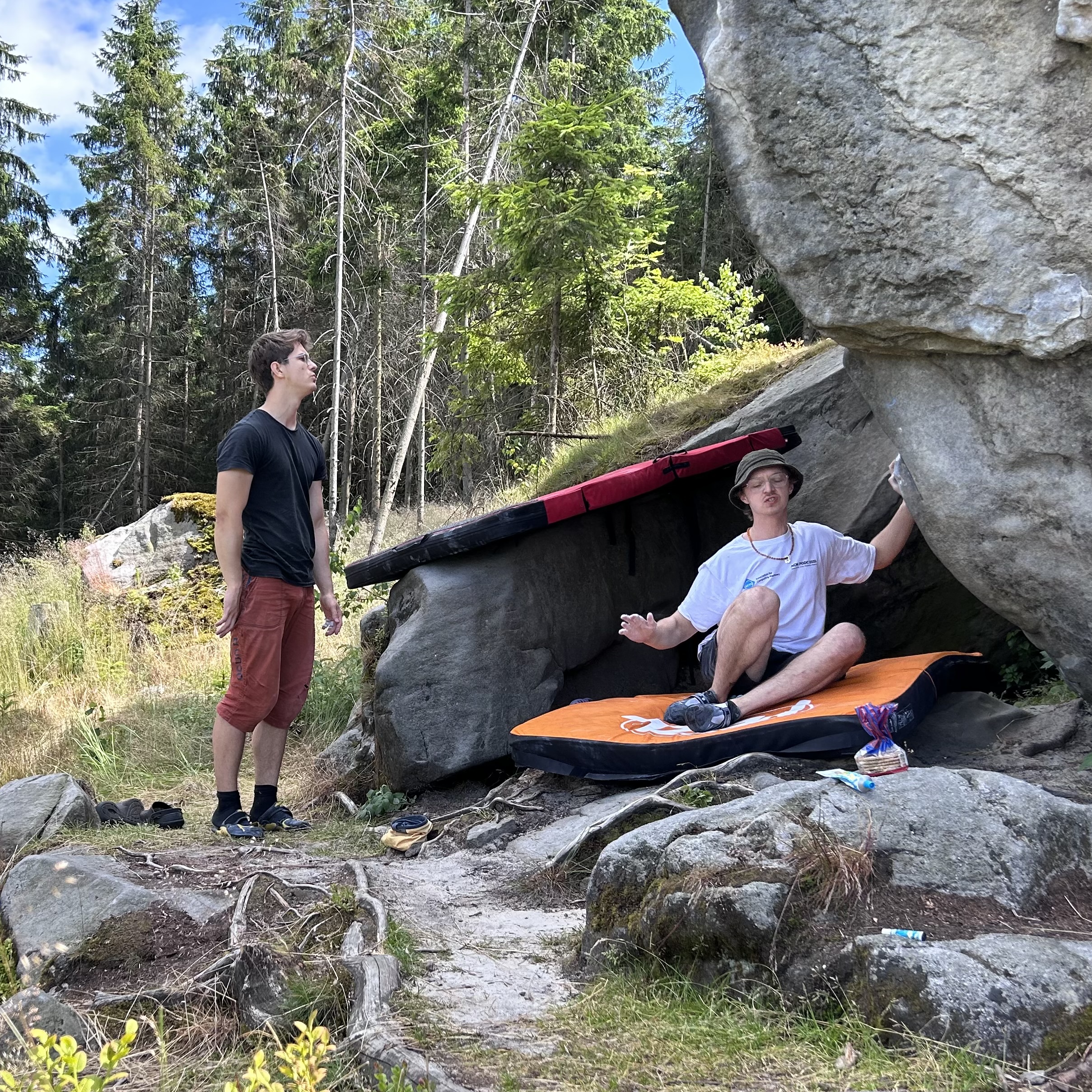 A. Górkiewiczi i T. Grodzicki